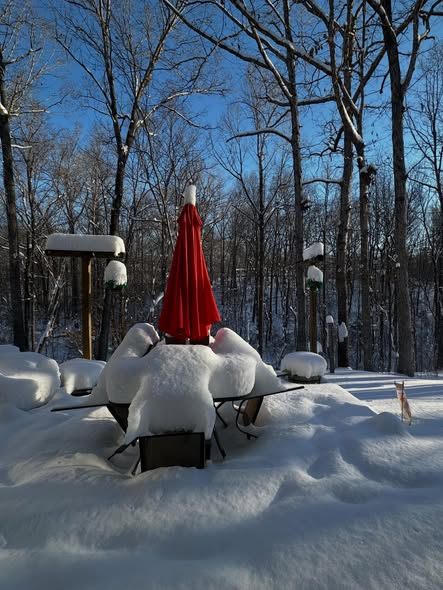 neve north carolina usa