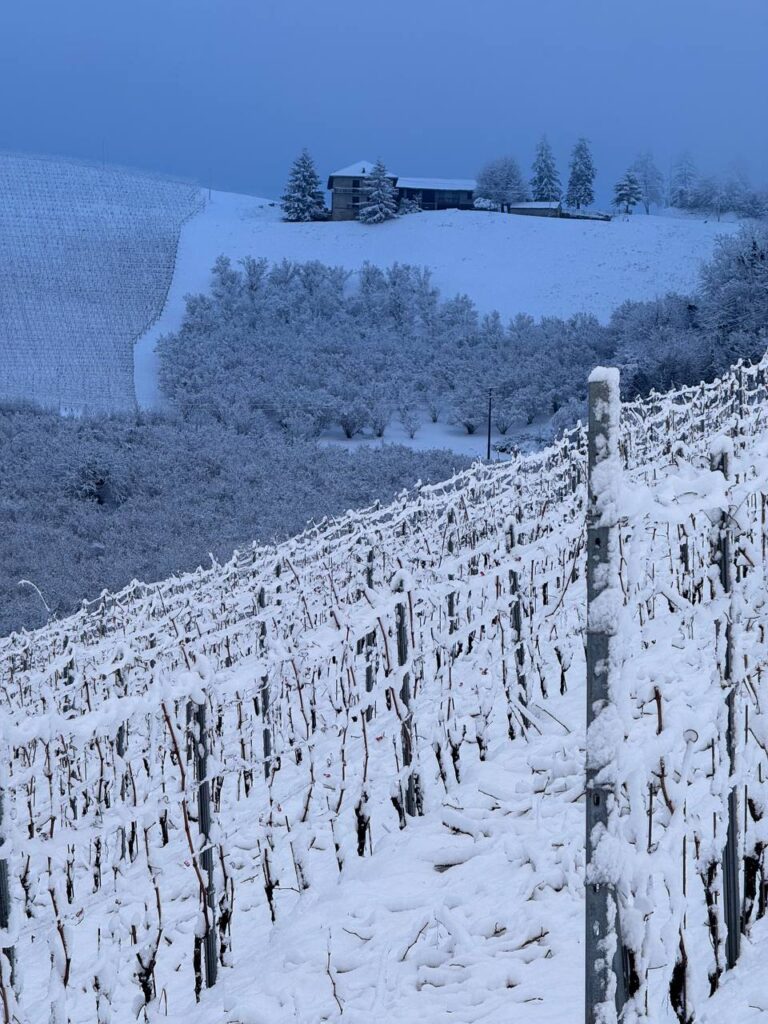 neve piemonte