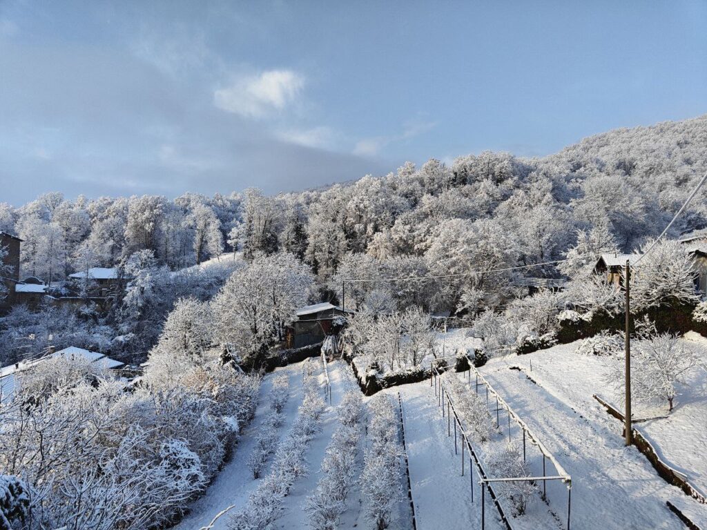 neve piemonte