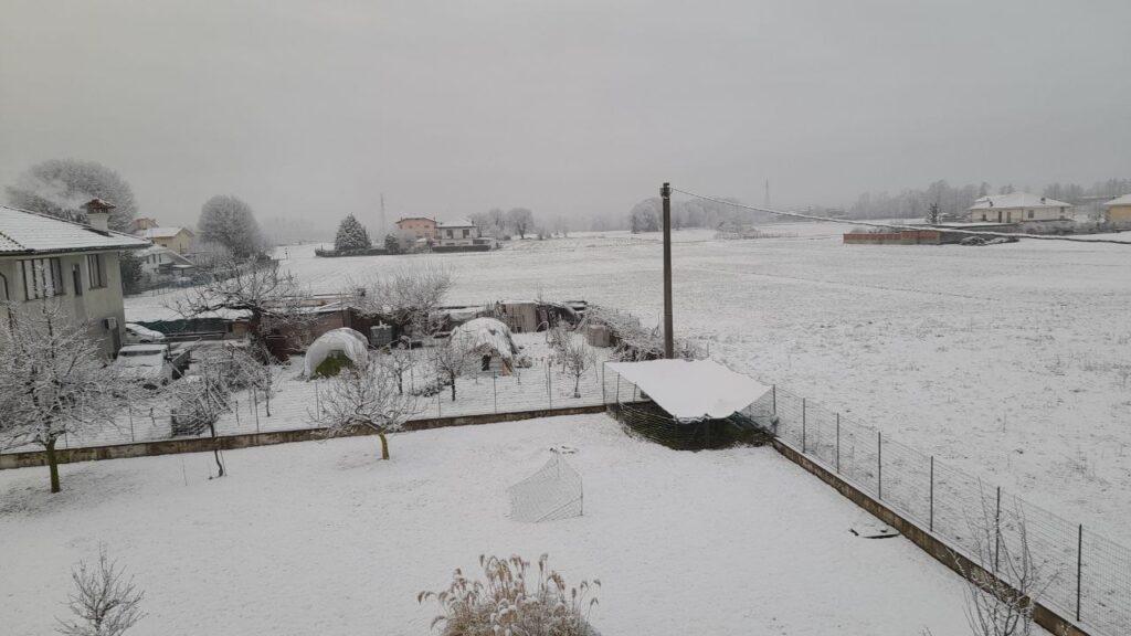 neve piemonte
