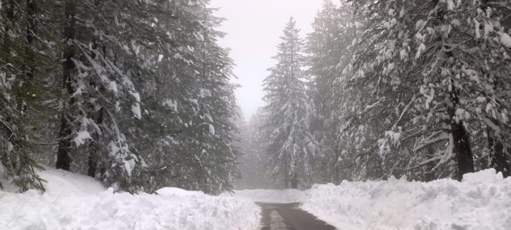 neve sila
