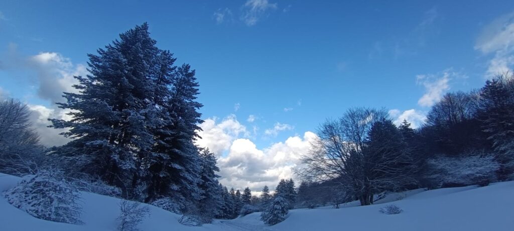 neve sila 17 febbraio 2026