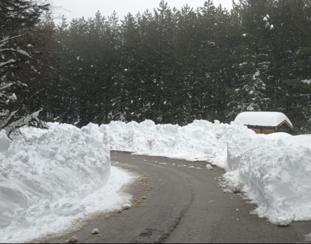 neve sila