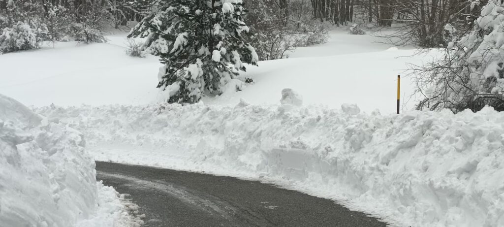 neve sila