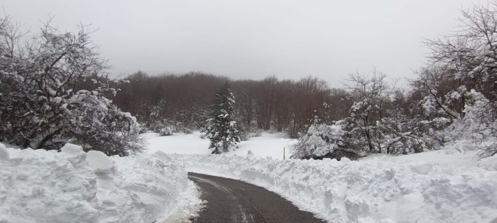 neve sila