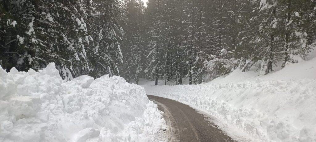 neve sila
