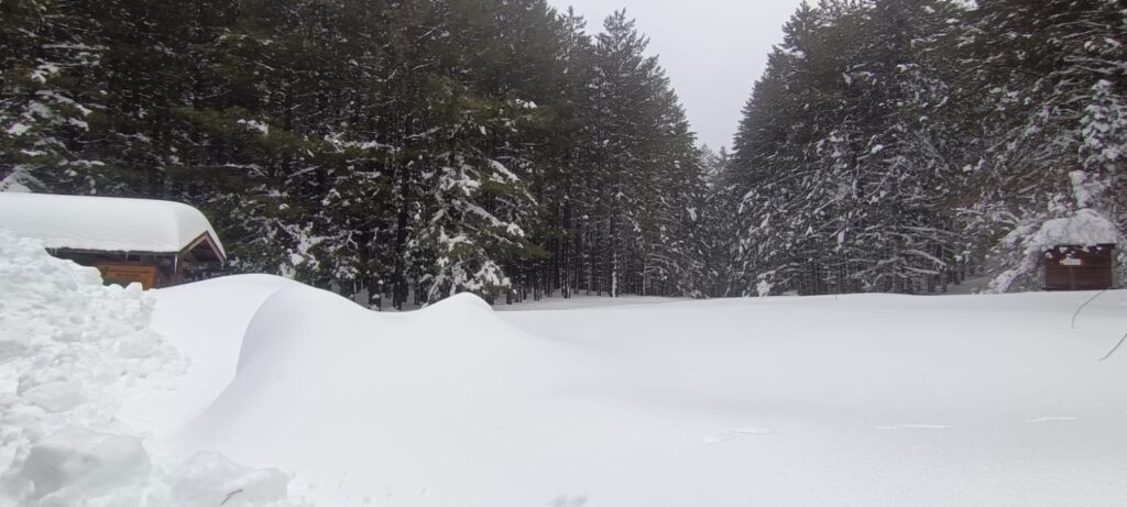 neve sila