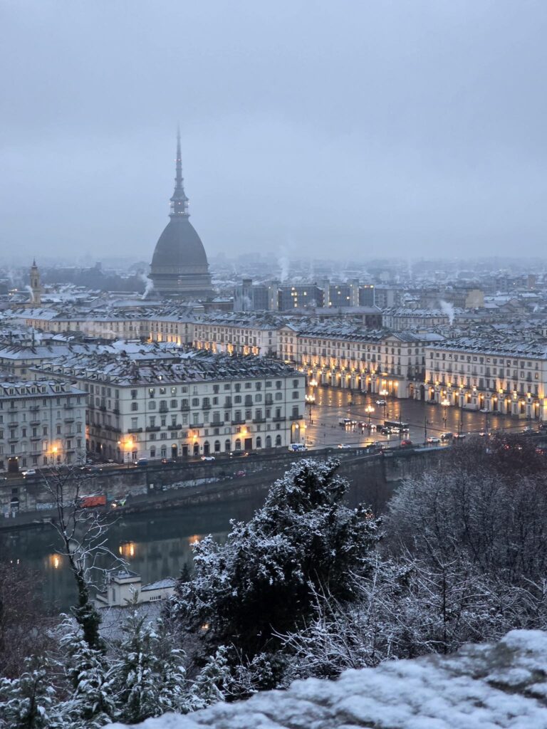 neve torino