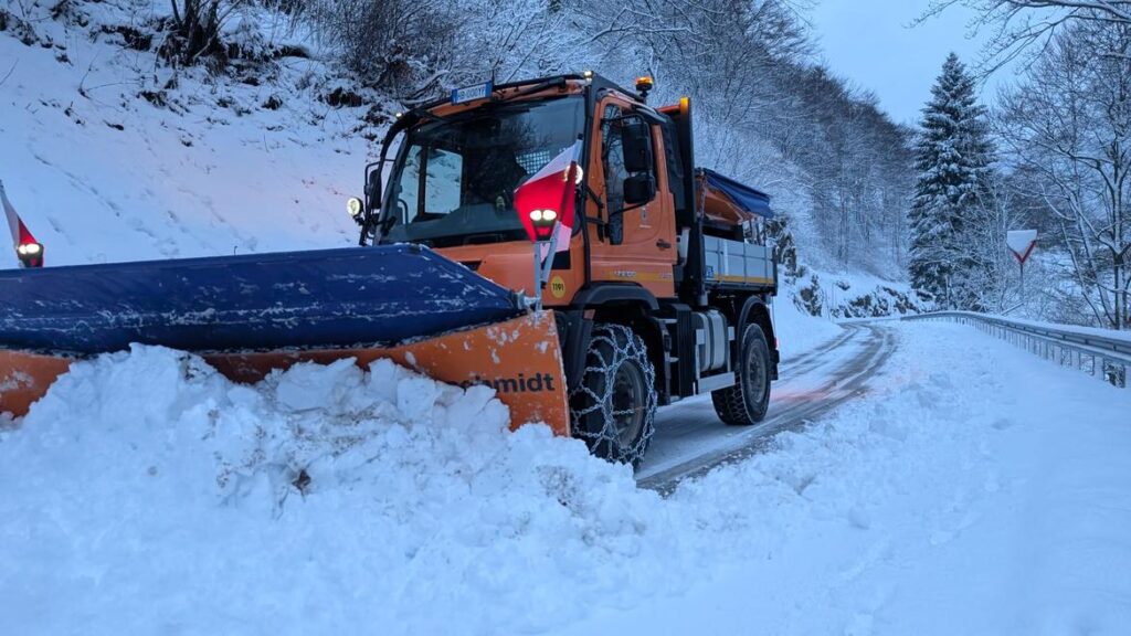 neve trentino