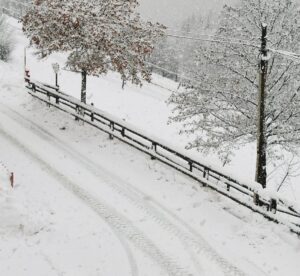 neve trentino