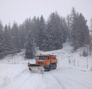 neve trentino