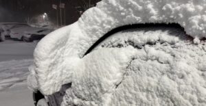 neve usa long island