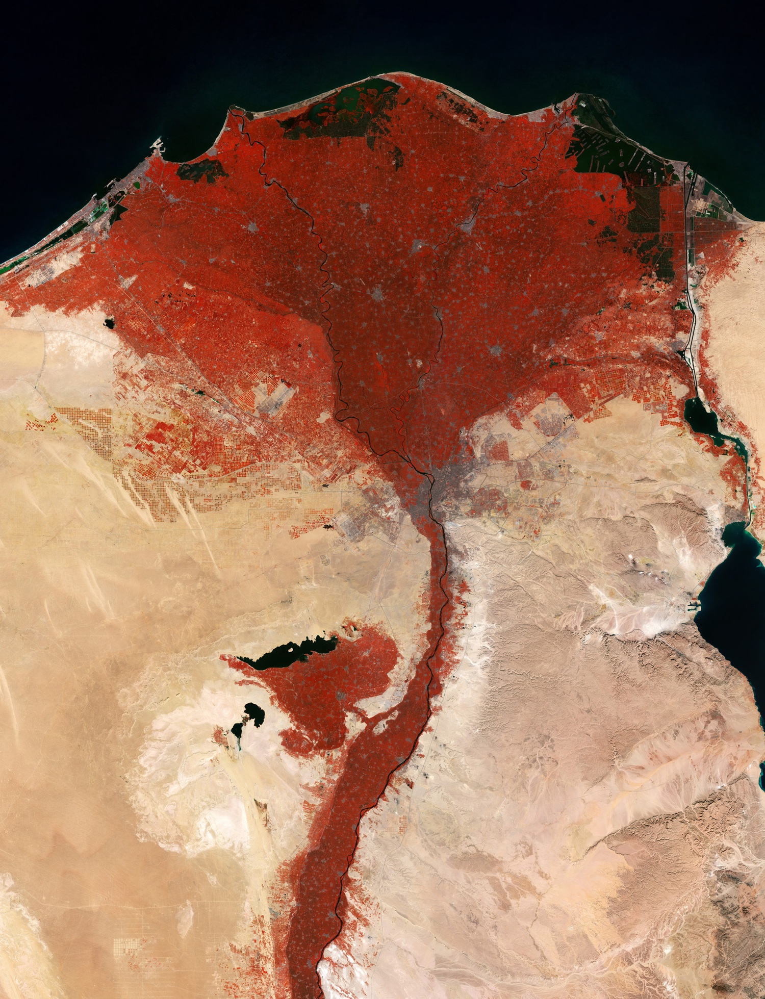 oasi Faiyum esa spazio copernicus sentinel 2