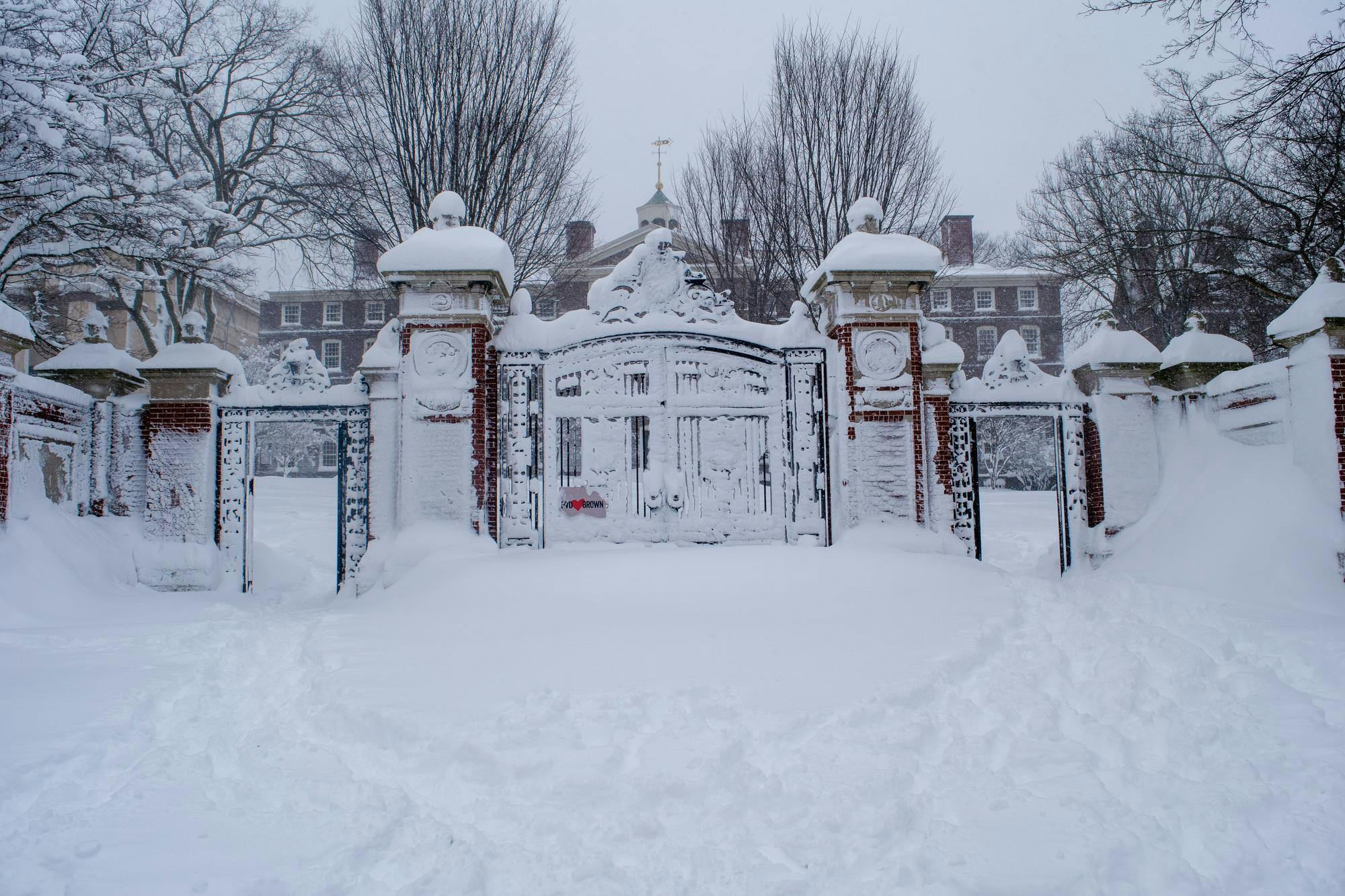 providence foto neve