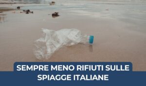 spiagge rifiuti ispra