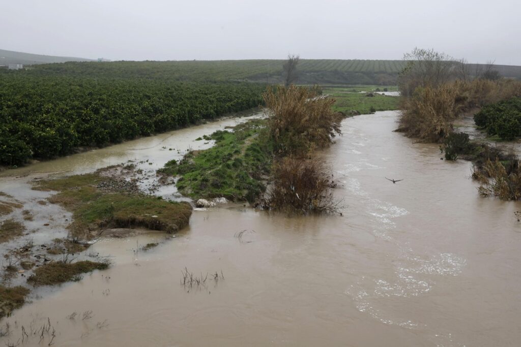tempesta leonardo spagna