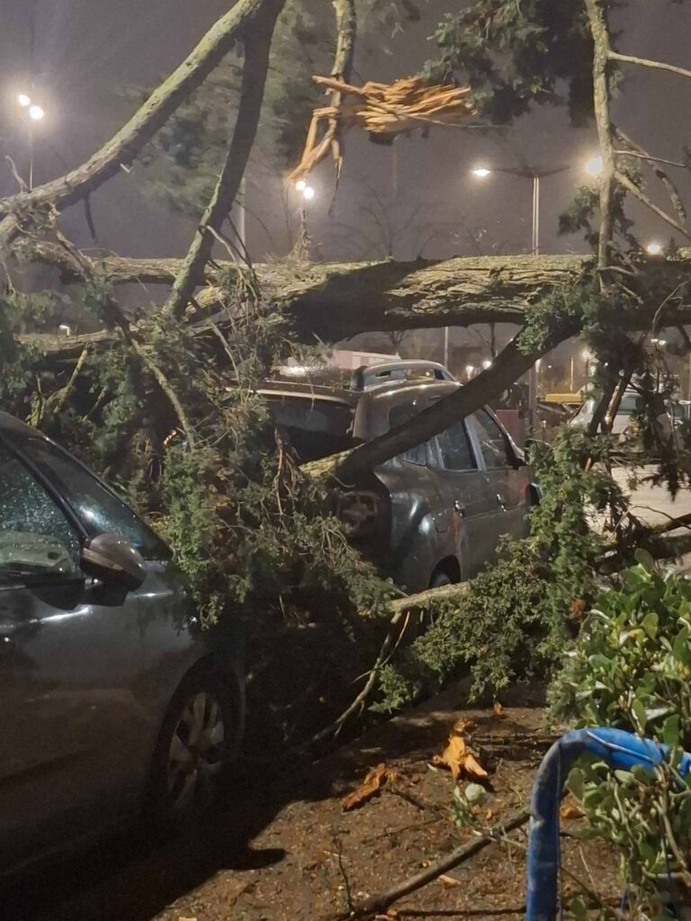 tempesta nils francia