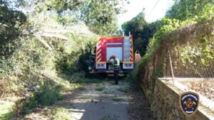 tempesta nils maiorca