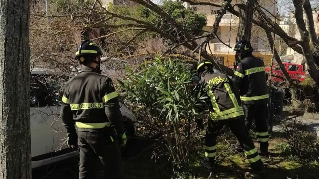 vigili del fuoco albero vento