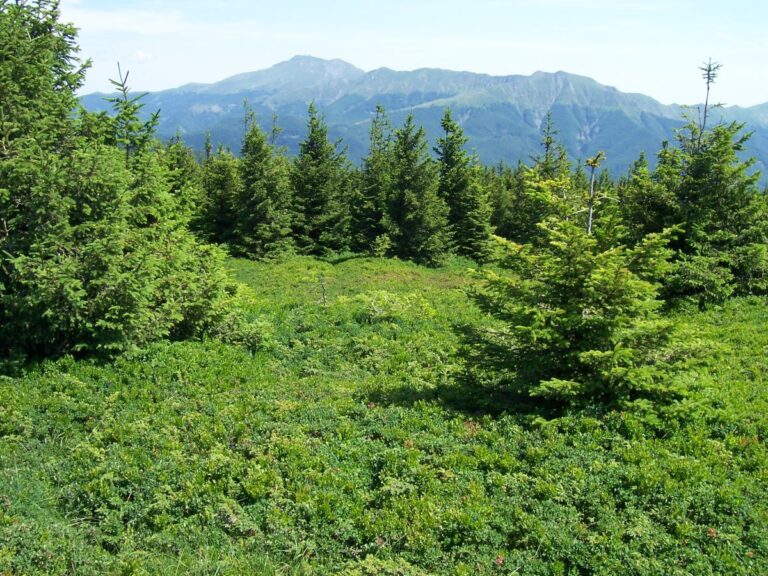 Appennino tosco-emiliano