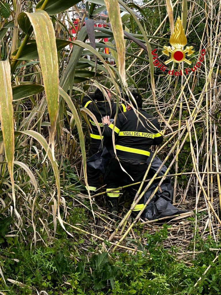 Cane Soccorso