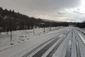 Grandine Bulgaria