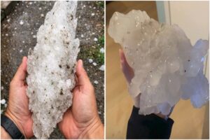 Grandine USA Illinois