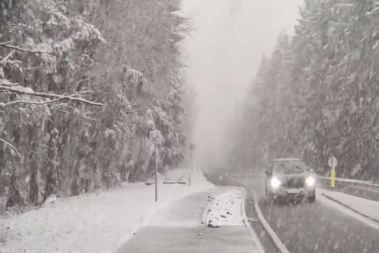 Maltempo Belgio Neve