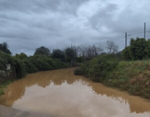 Maltempo Sud Coldiretti