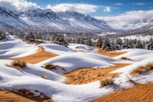 Neve Algeria 7 marzo