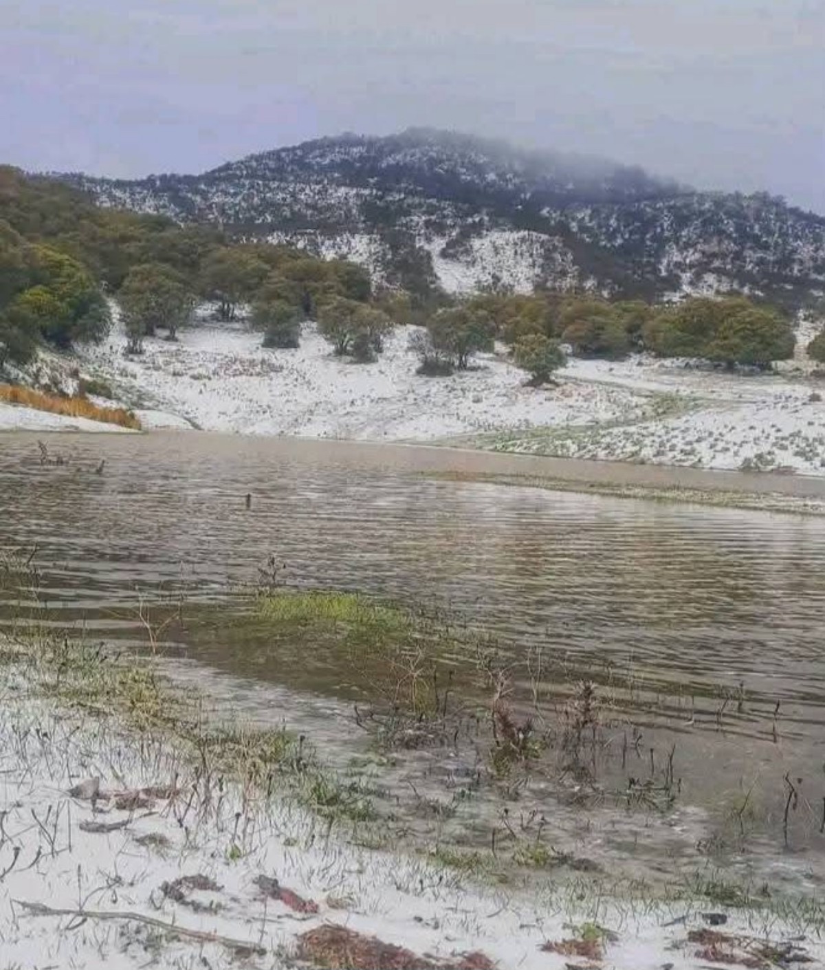 Neve Algeria Theniet El Had