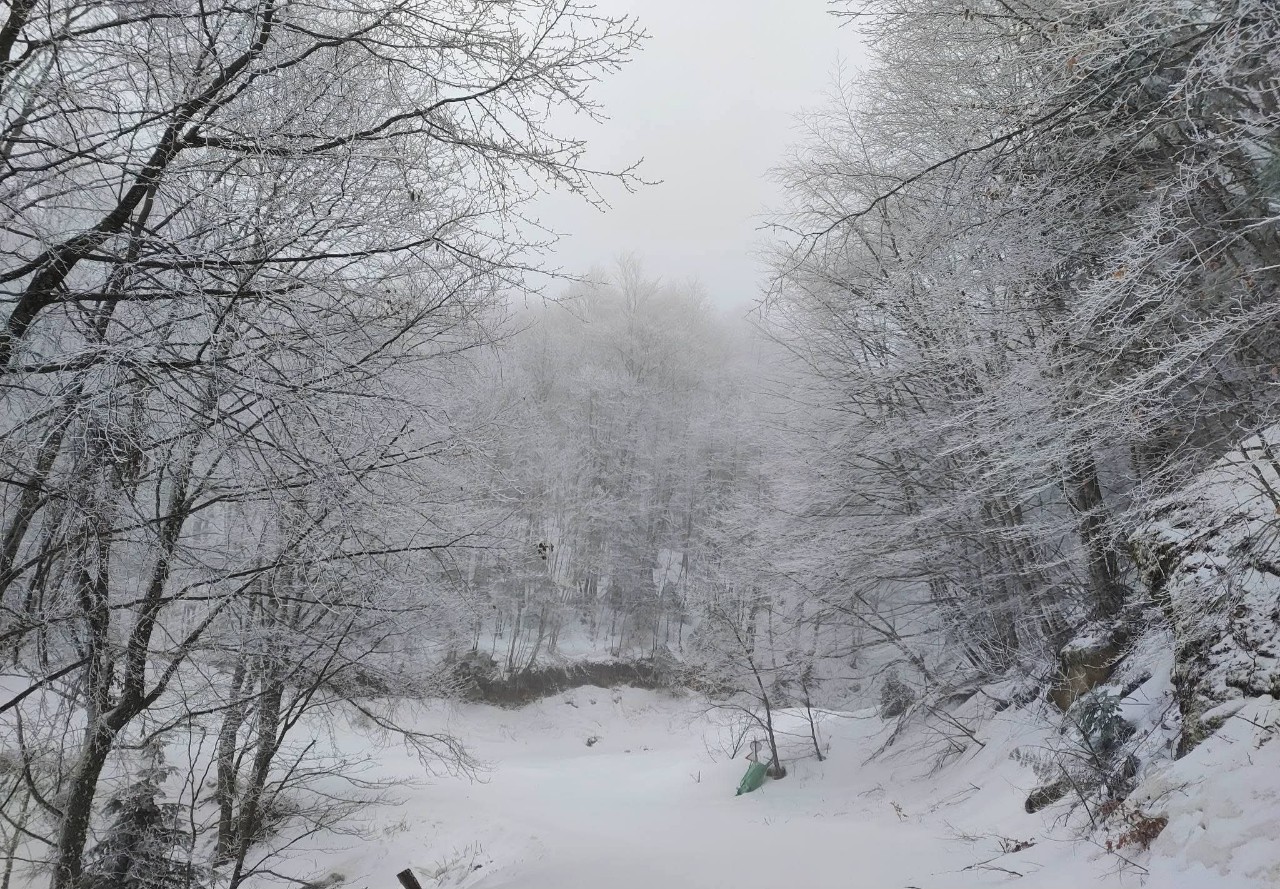 Neve Grecia Elatochori