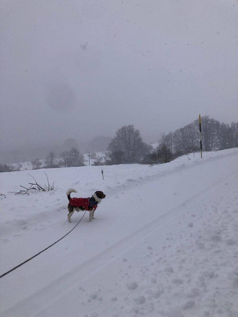 Prati di Tivo oggi neve Abruzzo