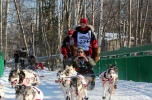 alaska iditarod corsa cani