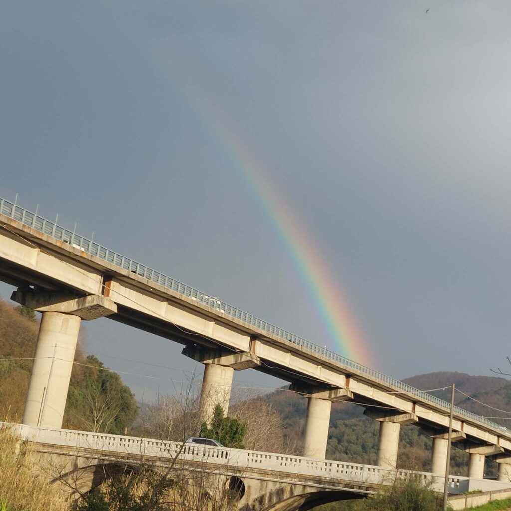 arcobaleno cinquefrondi