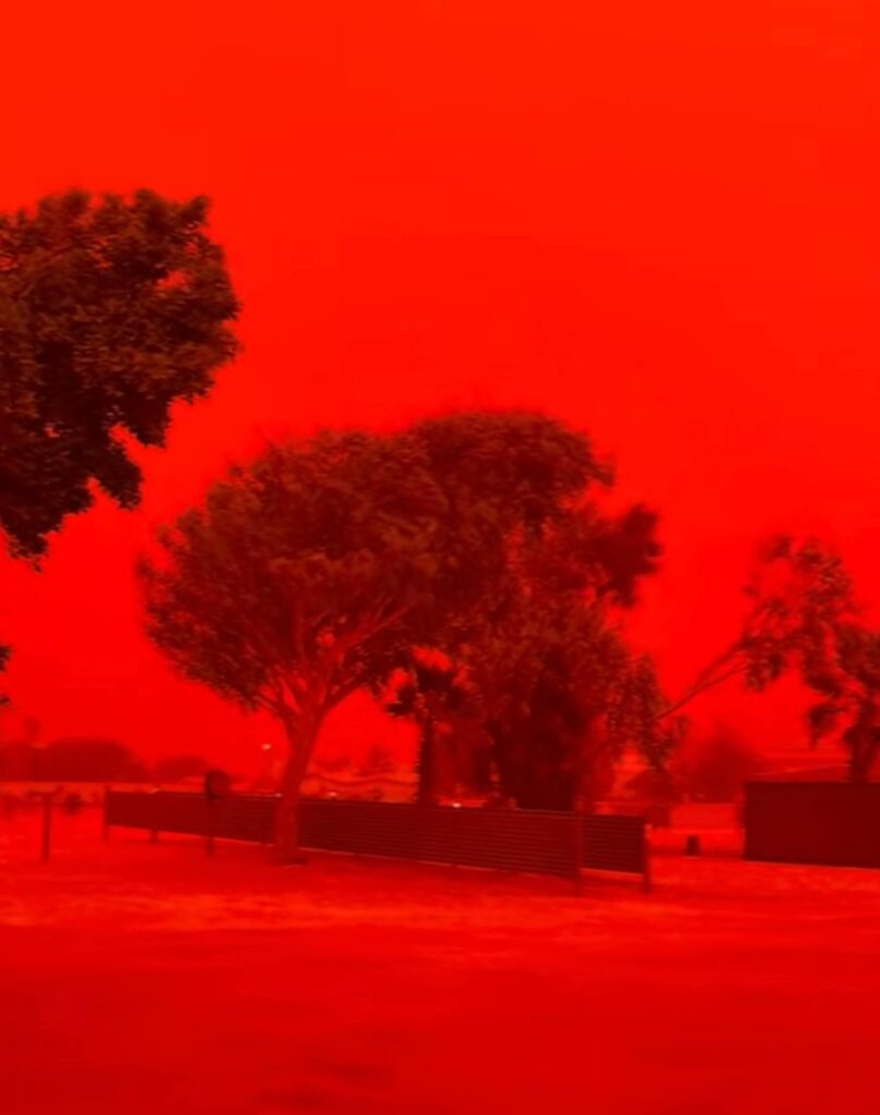 ciclone narelle australia