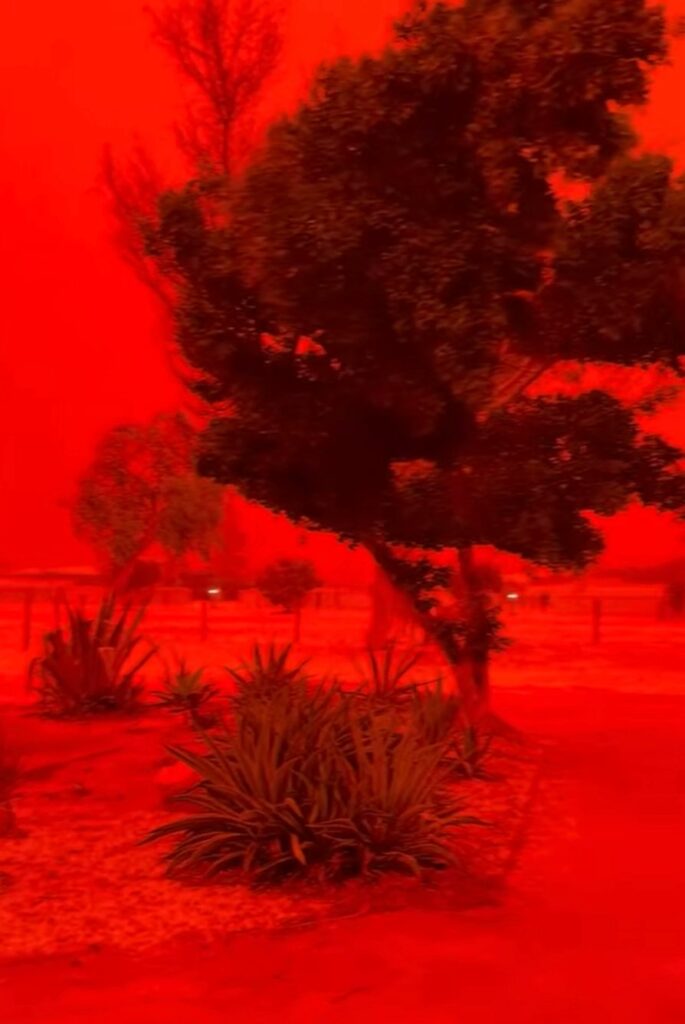 ciclone narelle australia