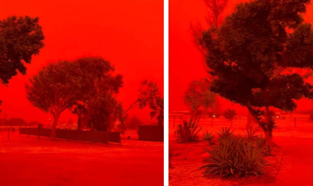 cielo rosso ciclone narelle australia