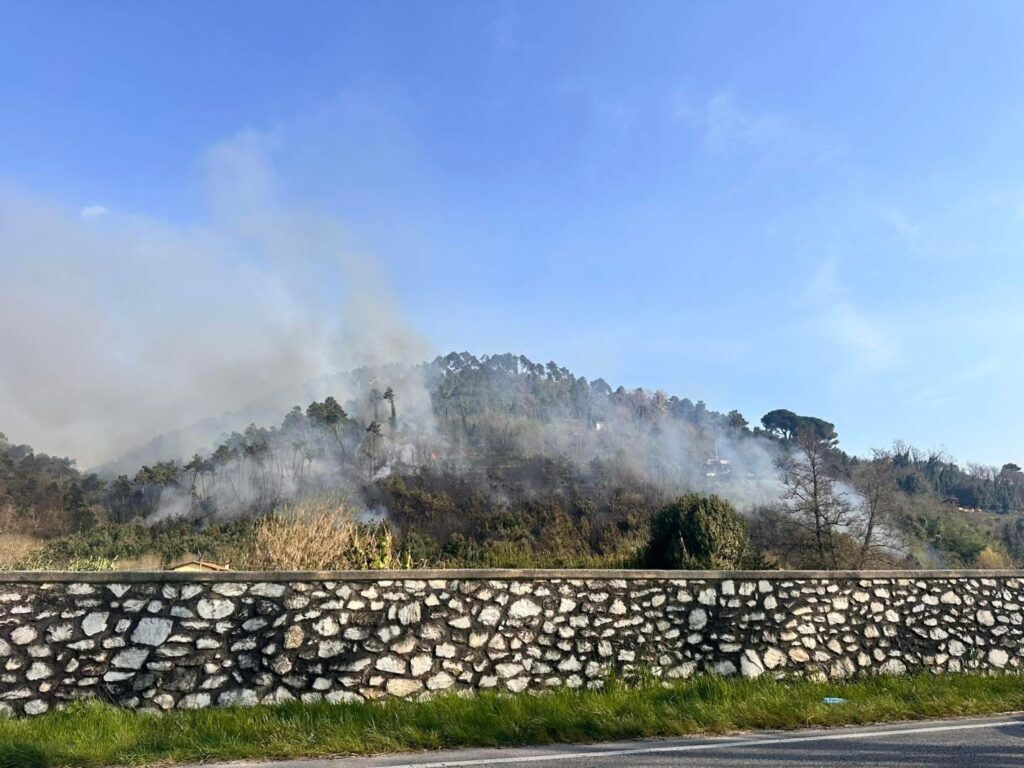 incendio monte moneta toscana