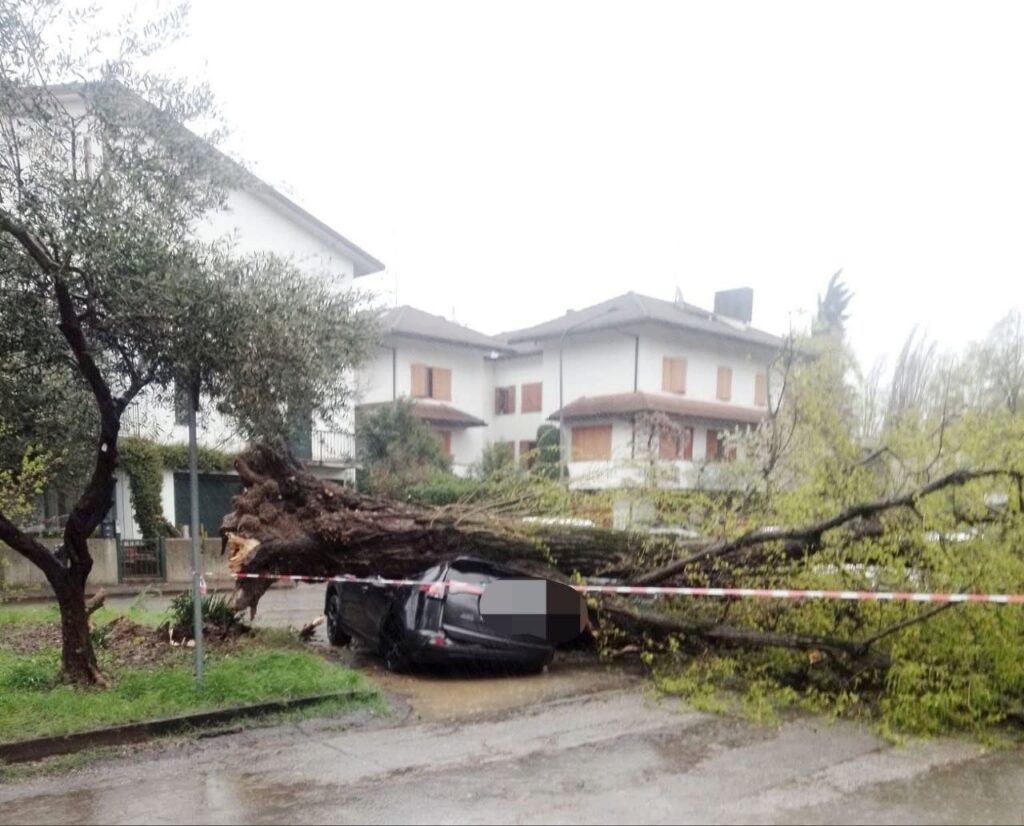 maltempo emilia romagna