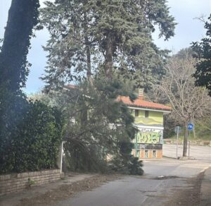 maltempo molise