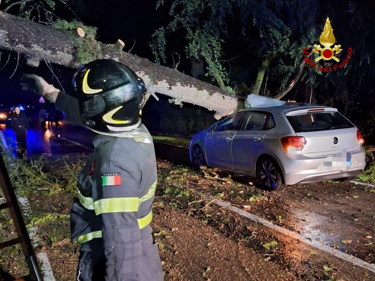 maltempo oggi emilia romagna vigili del fuoco vento forte alberi