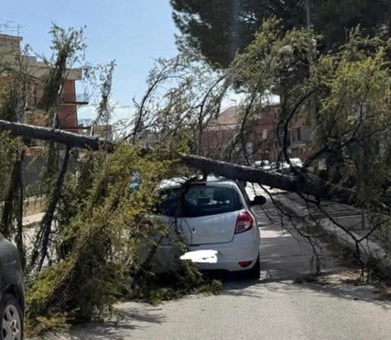 maltempo san severo puglia