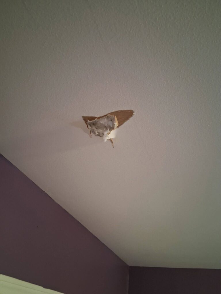 meteorite casa texas