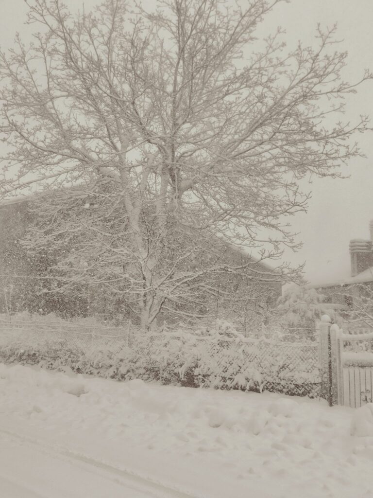 neve balze di verghereto emilia romagna