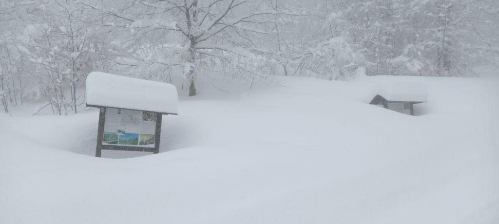 neve colle del lys piemonte