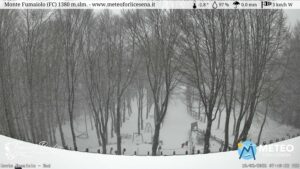 neve monte fumaiolo