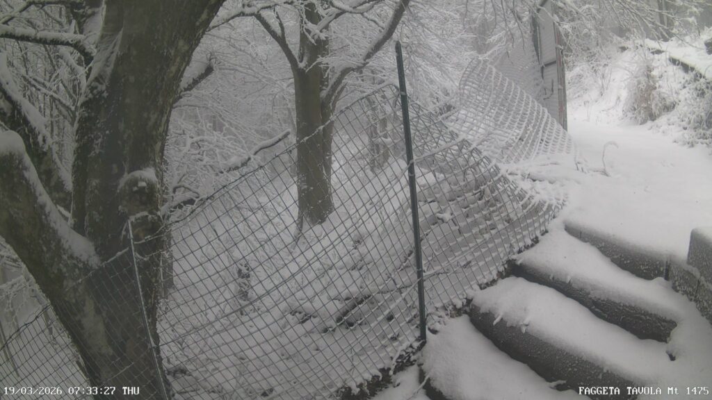 neve oggi campania