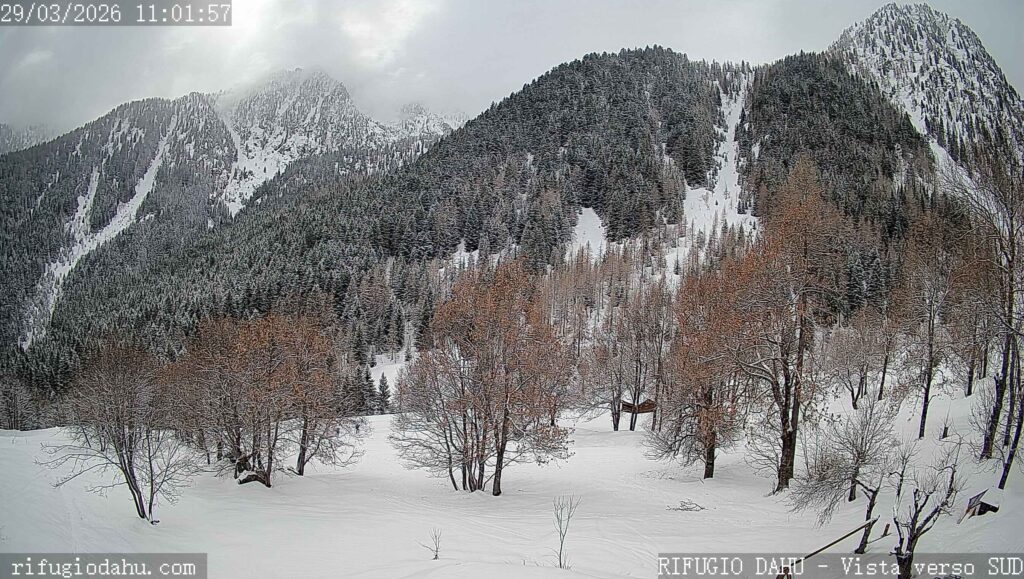 neve oggi piemonte