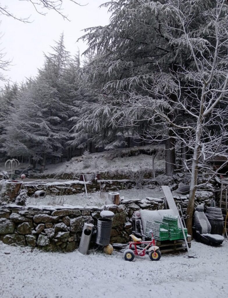 neve oggi sardegna gennargentu